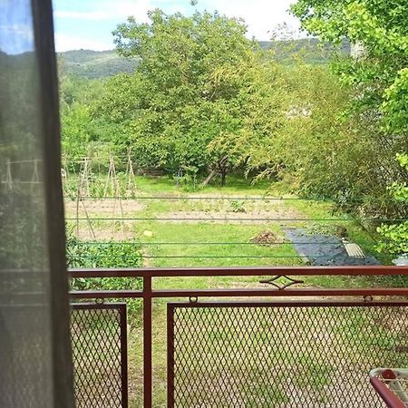 Ca La Merce - Agradable Casa En Amer Buitenkant foto